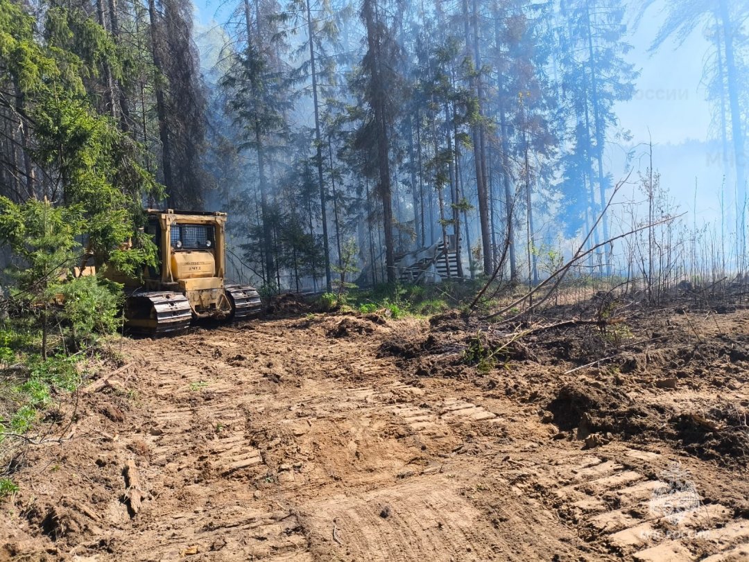 Природный пожар в Парфеньевском муниципальном округе ликвидирован